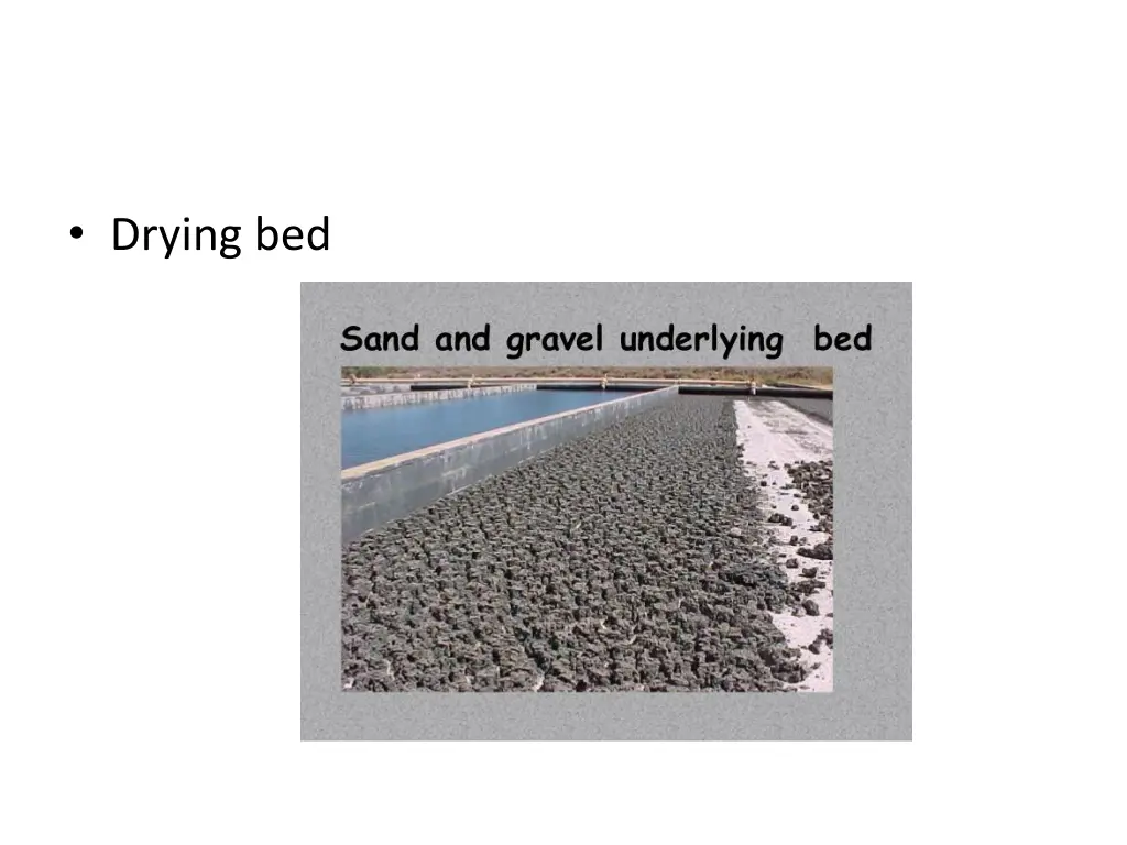 drying bed