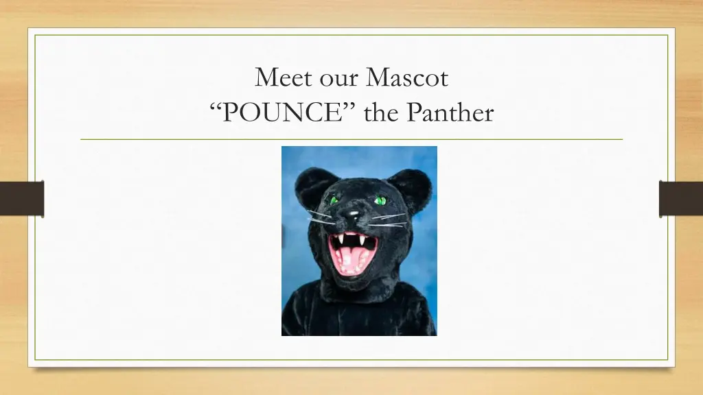 meet our mascot pounce the panther