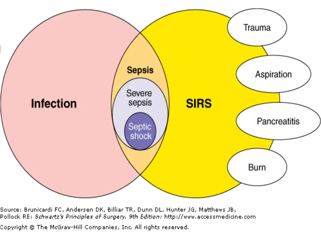 slide3