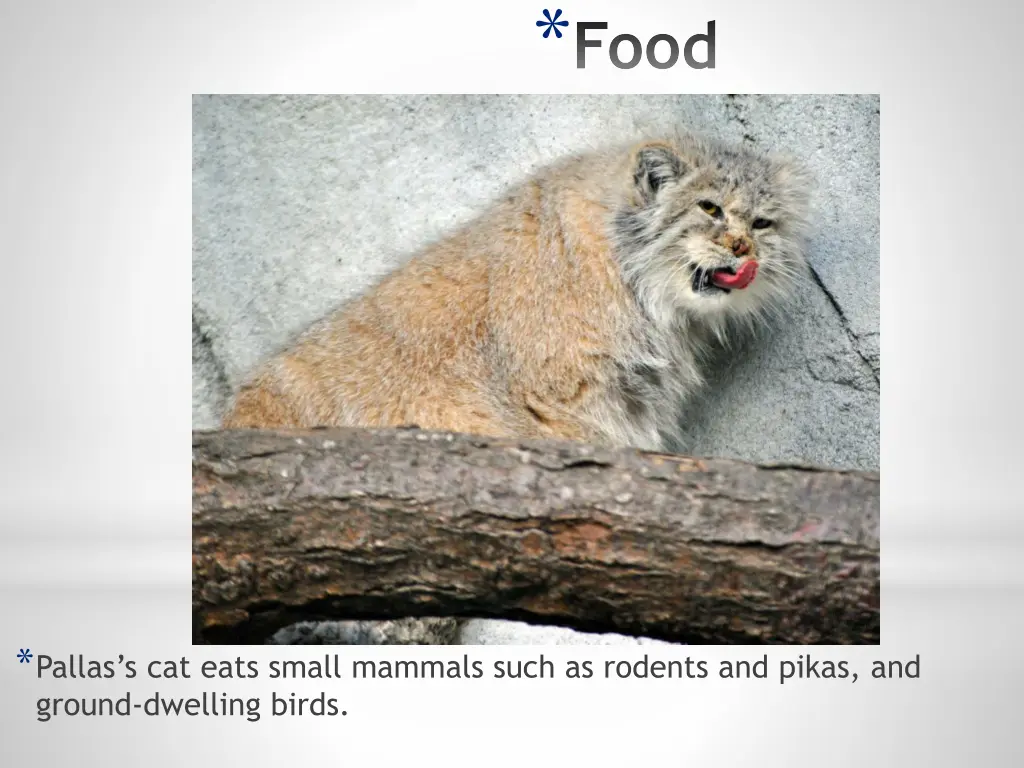 slide5
