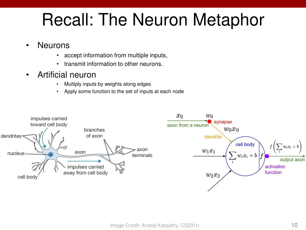 recall the neuron metaphor