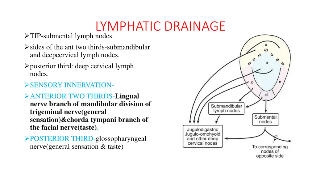 lymphatic drainage