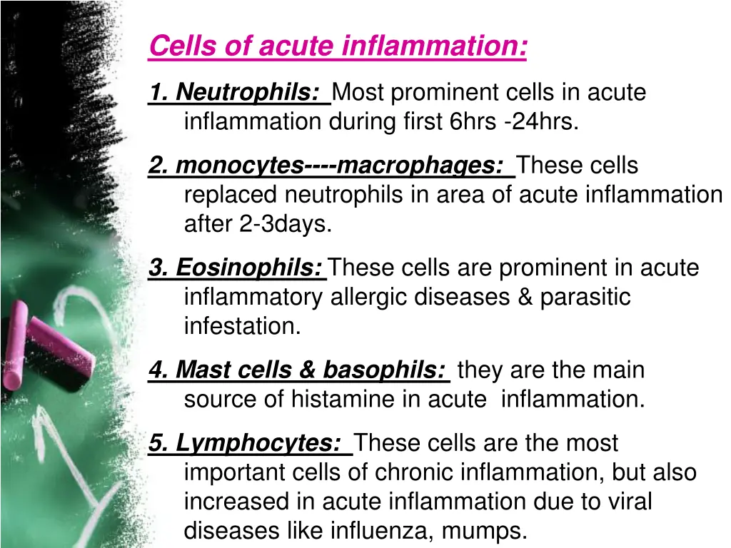 cells of acute inflammation