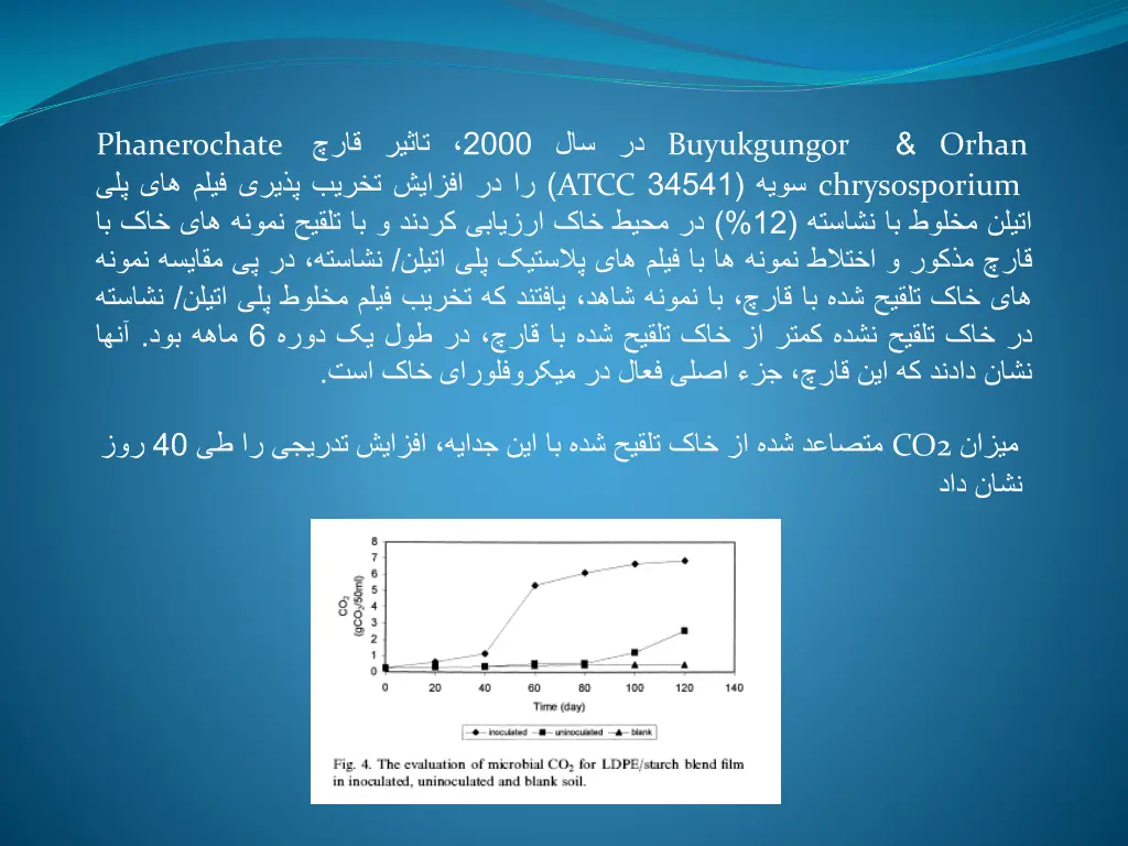 slide31
