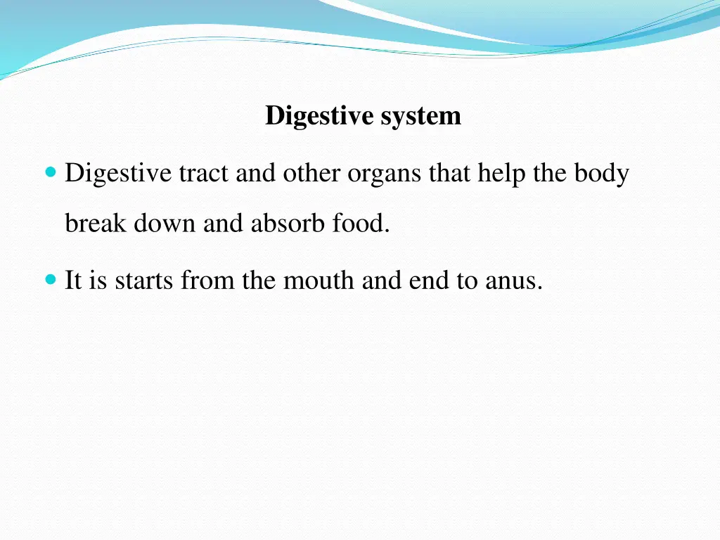digestive system