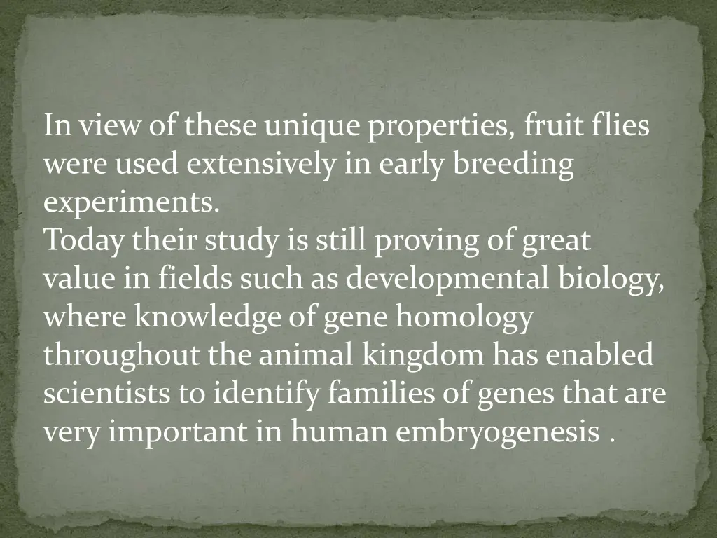 in view of these unique properties fruit flies