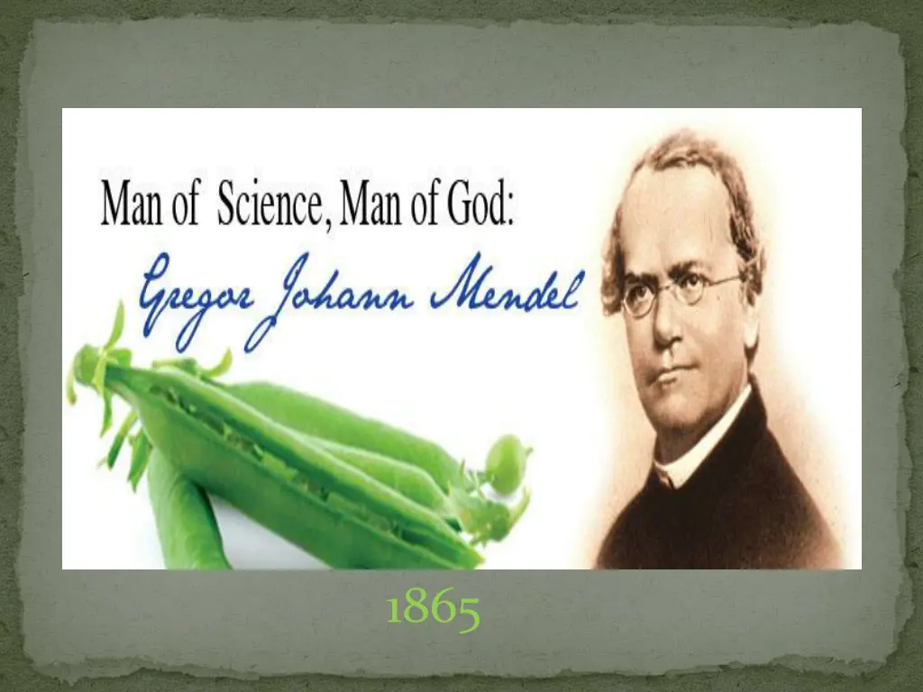 slide10