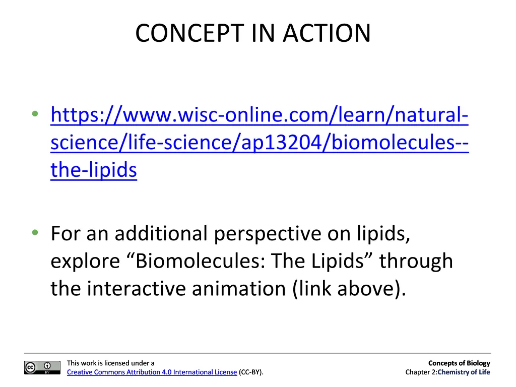 concept in action 1