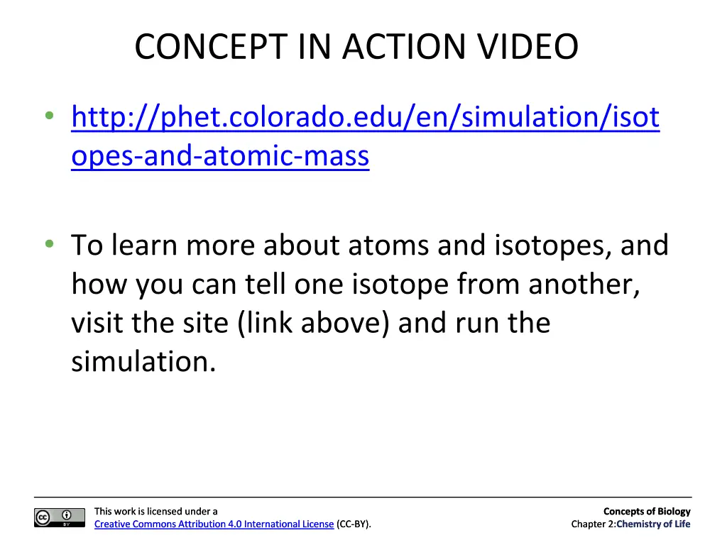 concept in action video