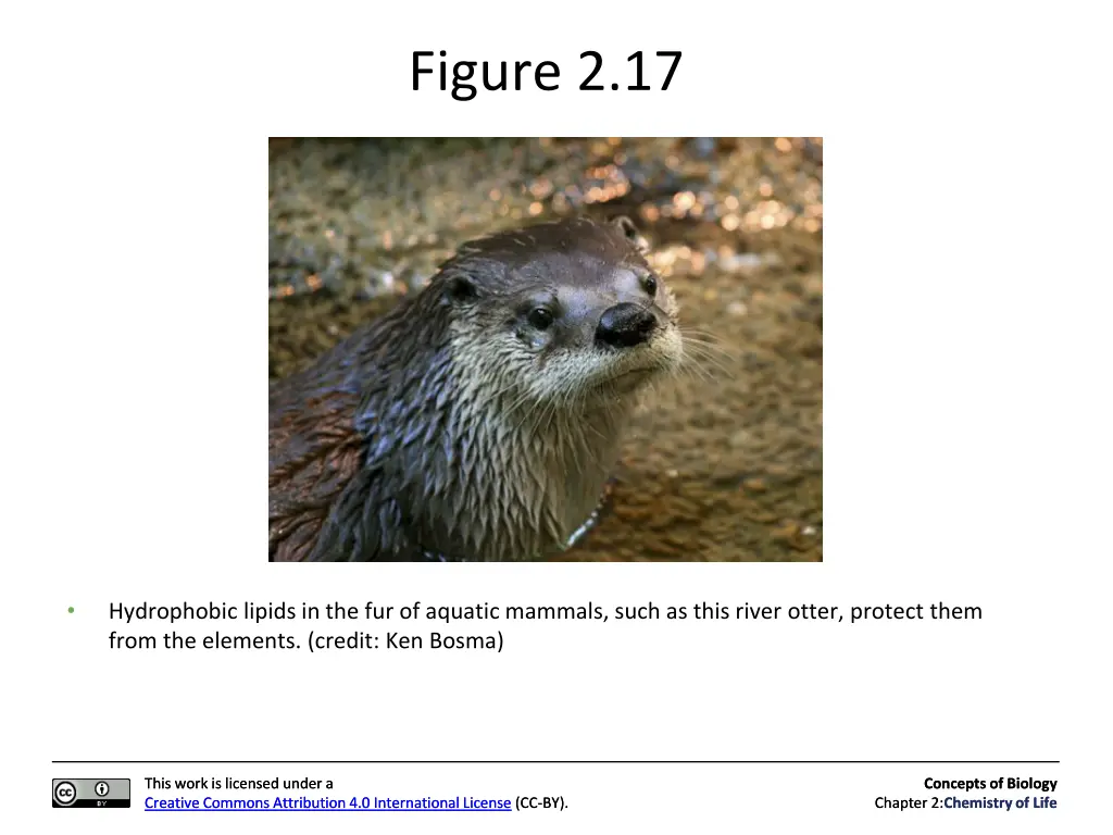 figure 2 17
