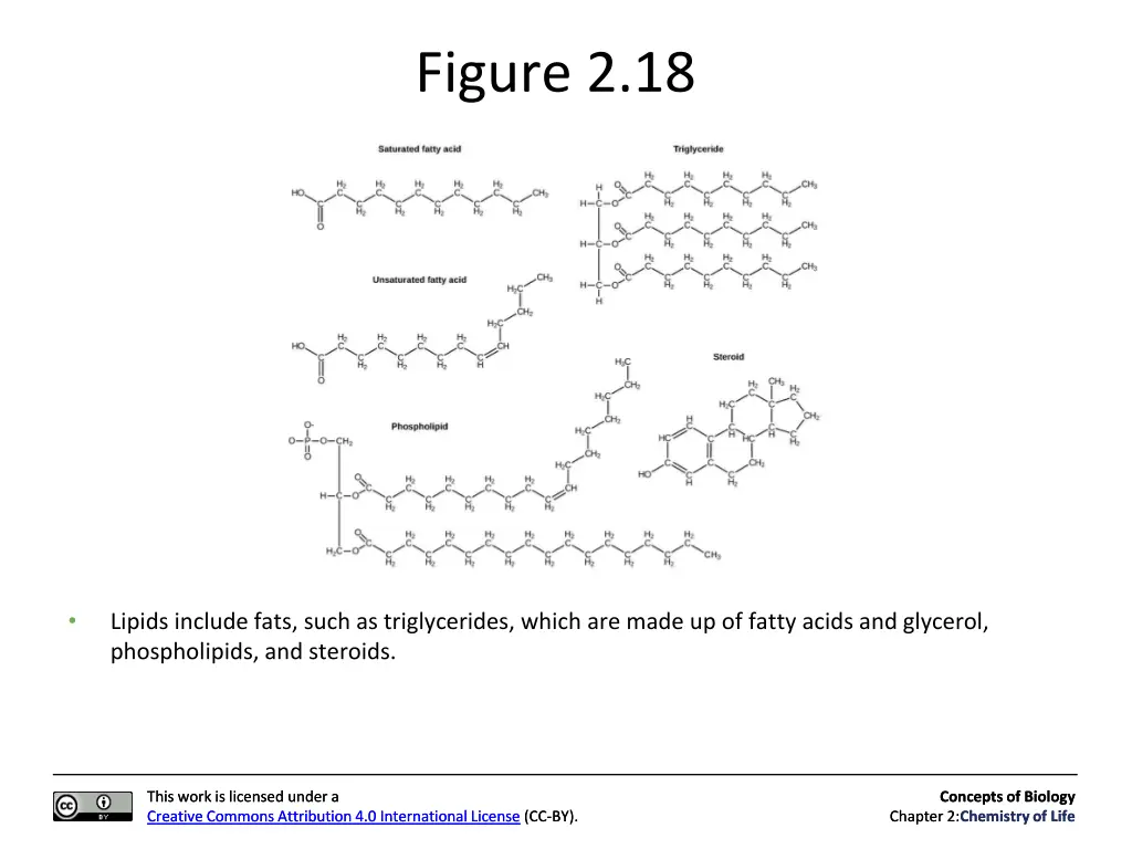 figure 2 18