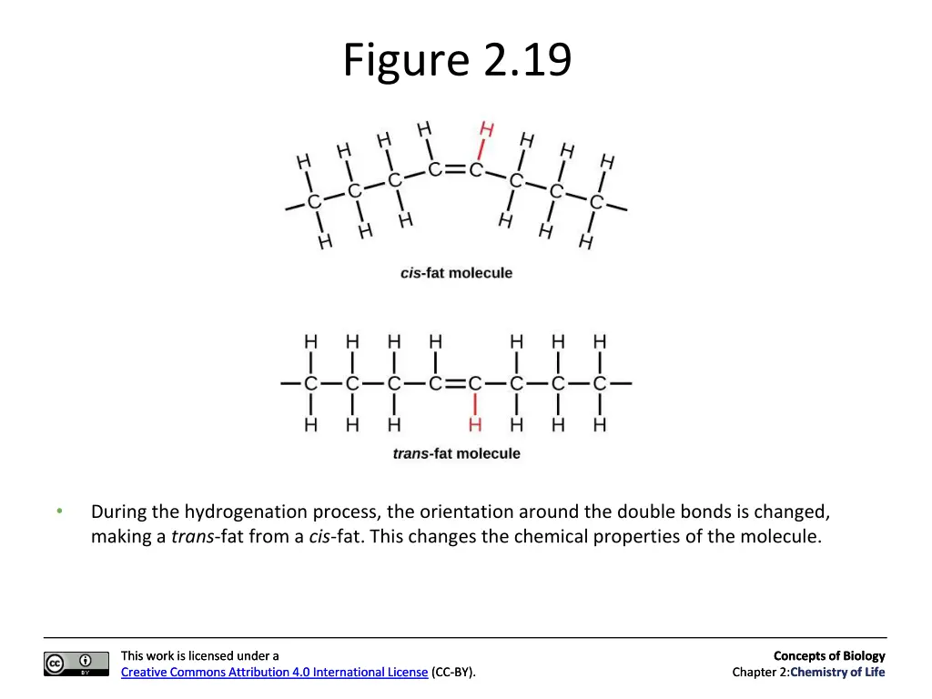 figure 2 19