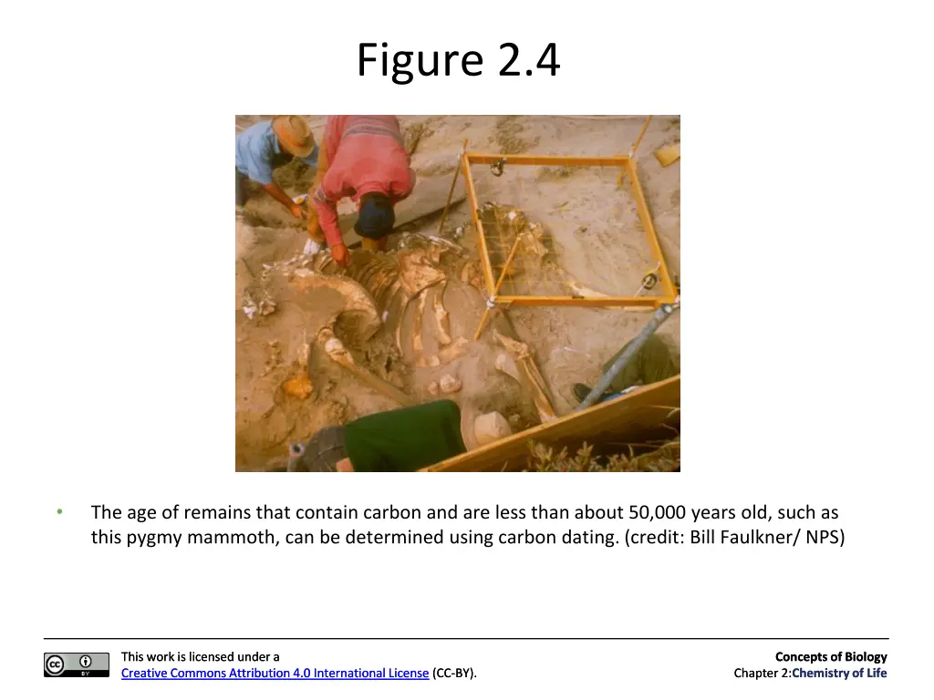 figure 2 4