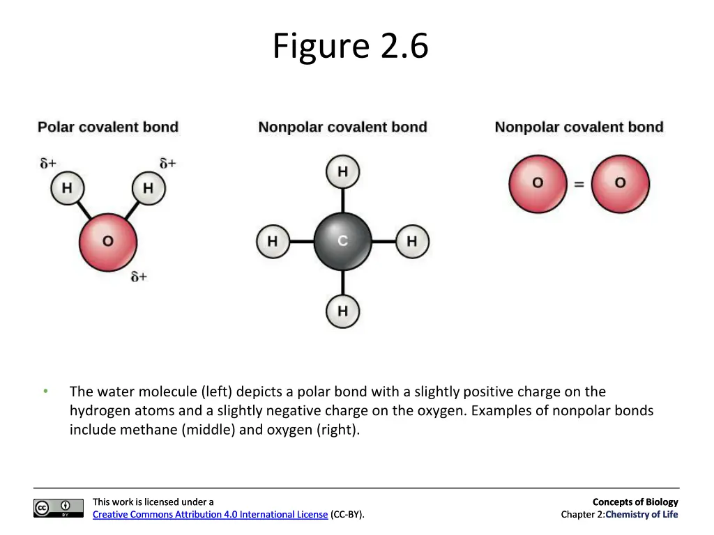 figure 2 6