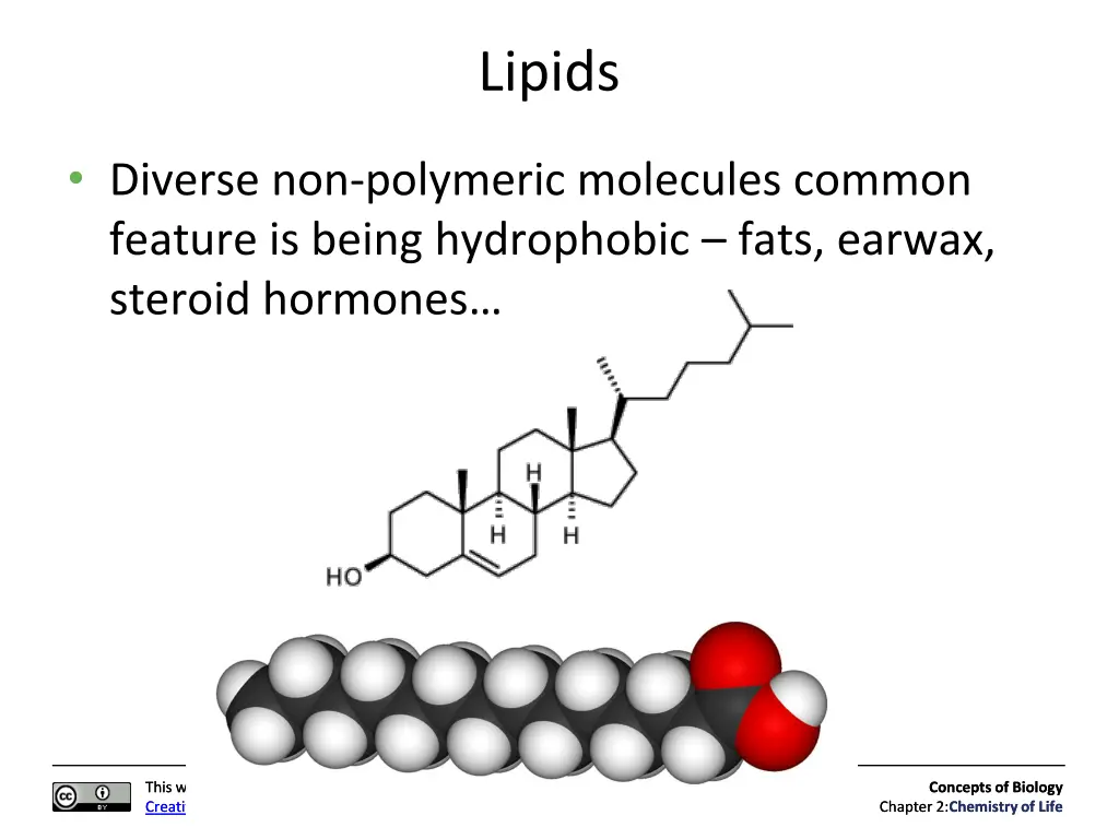 lipids
