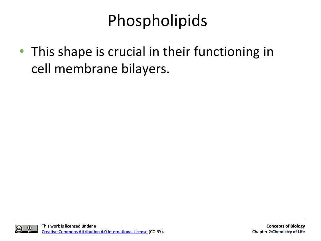 phospholipids
