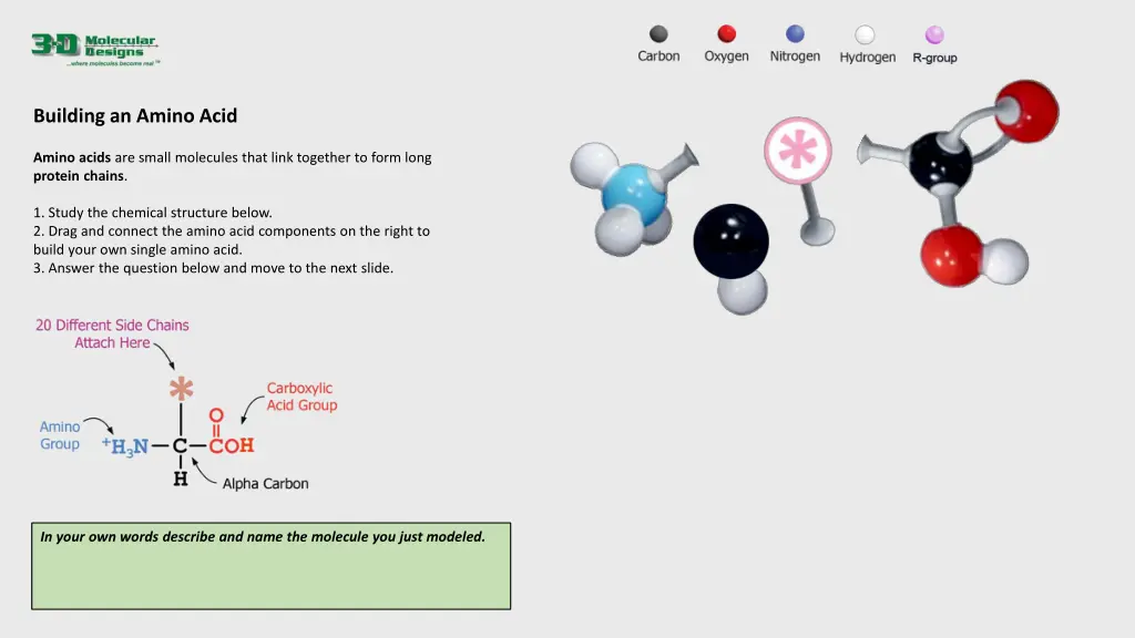 building an amino acid