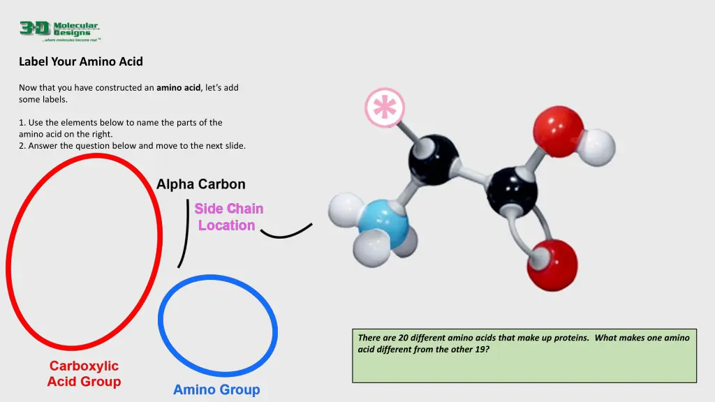 label your amino acid