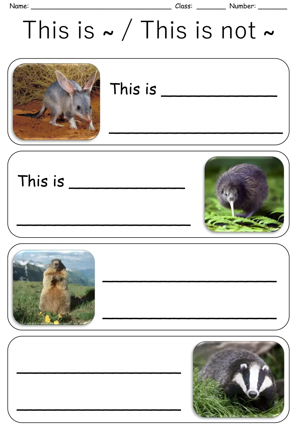 name class number this is this is not