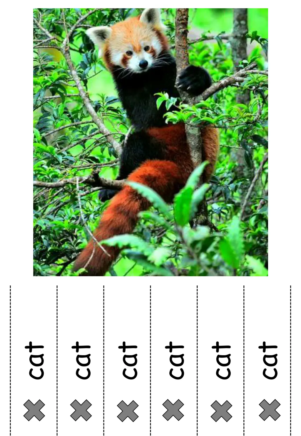 slide7