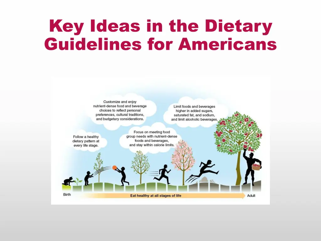 key ideas in the dietary guidelines for americans