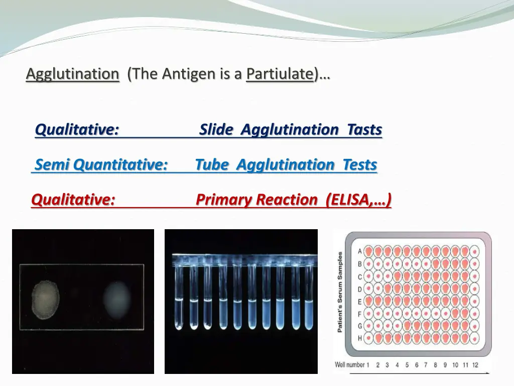 agglutination the antigen is a partiulate