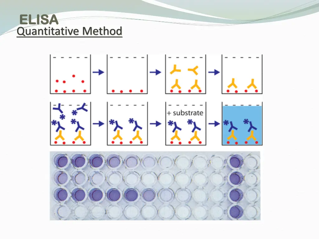 elisa elisa quantitative method