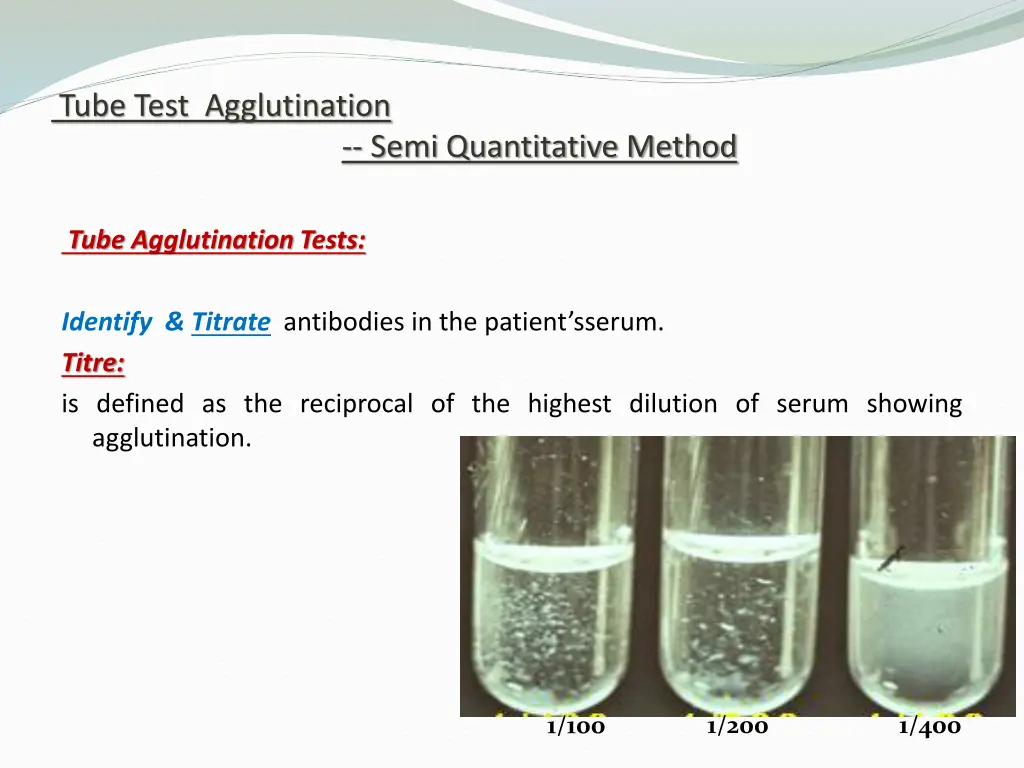 tube test agglutination