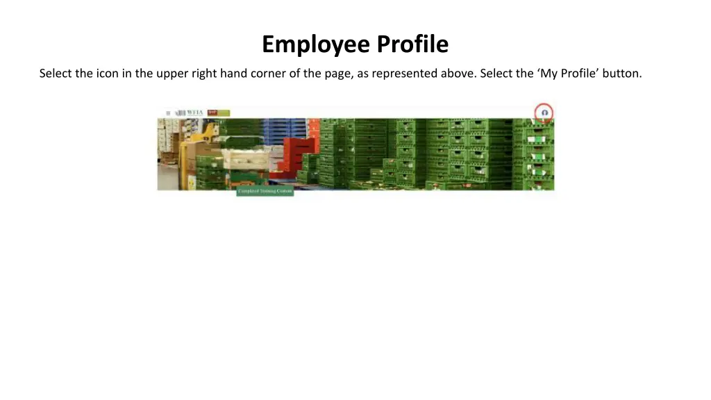 employee profile