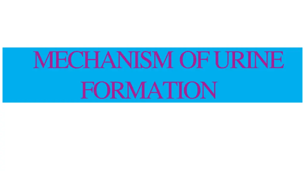 mechanism of urine formation
