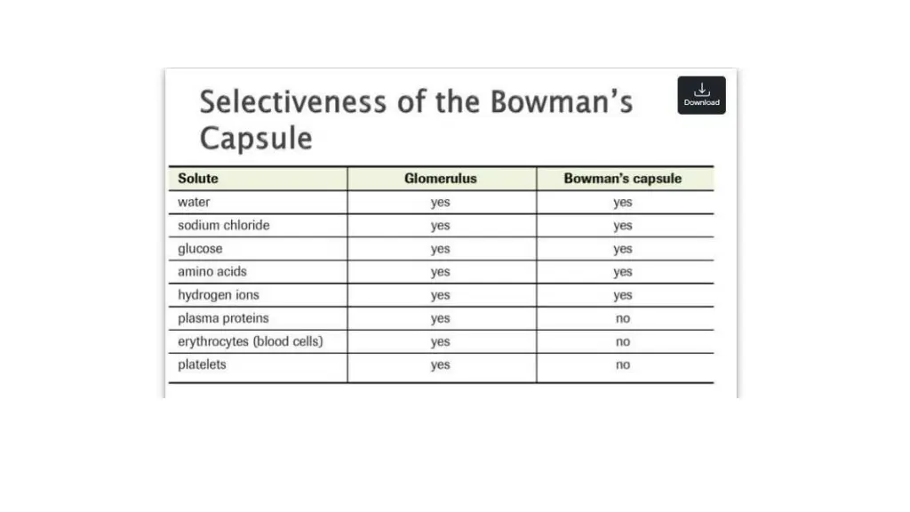 slide10