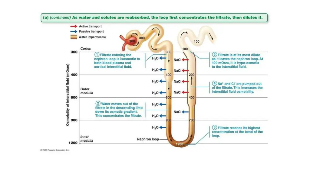 slide17