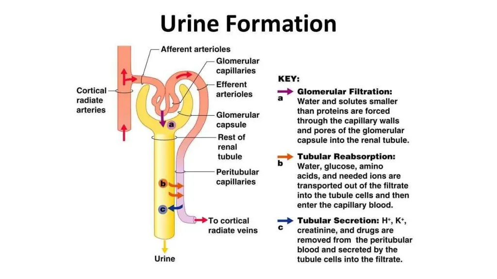 slide6
