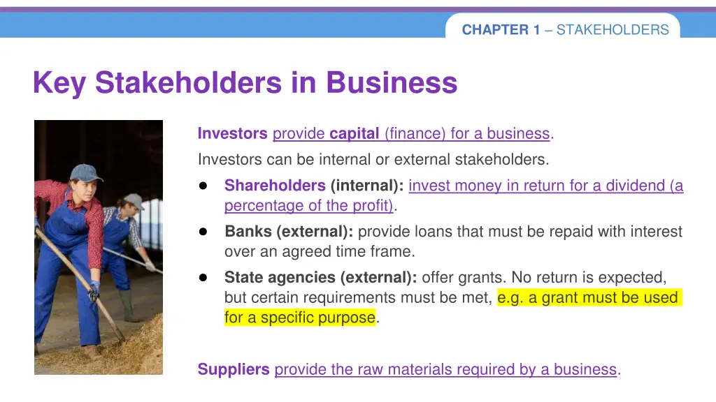 chapter 1 stakeholders 8