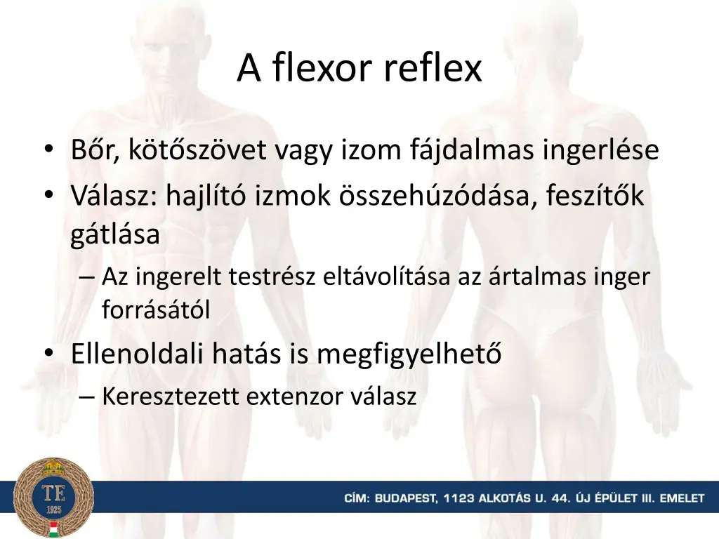 a flexor reflex