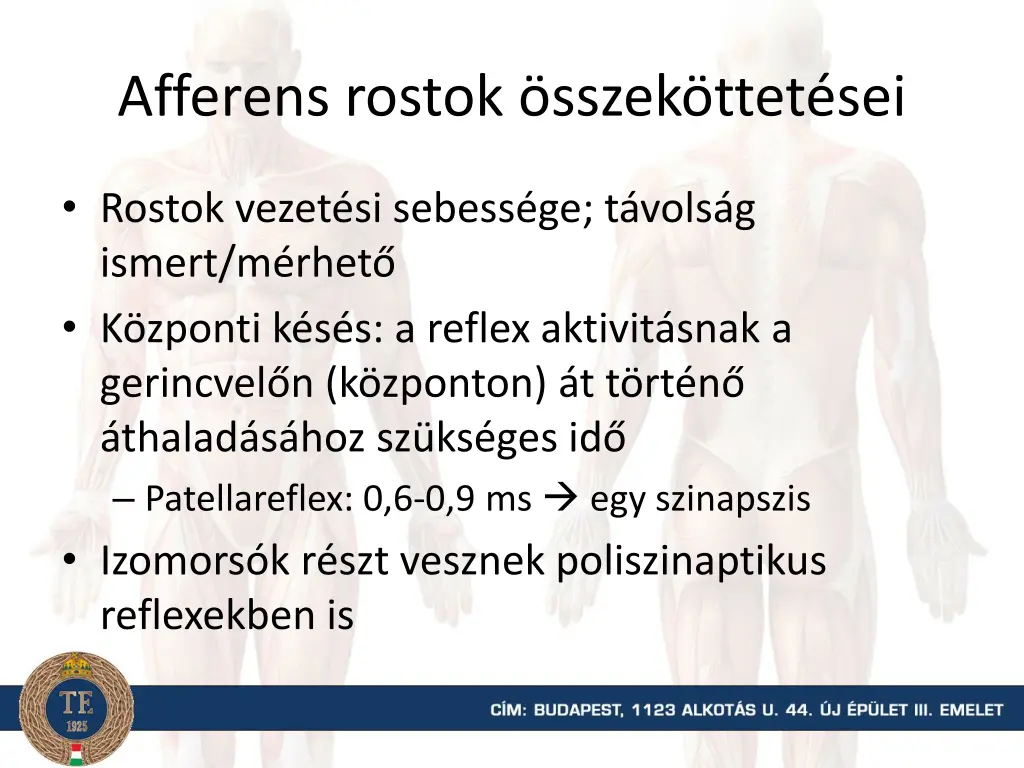 afferens rostok sszek ttet sei 1