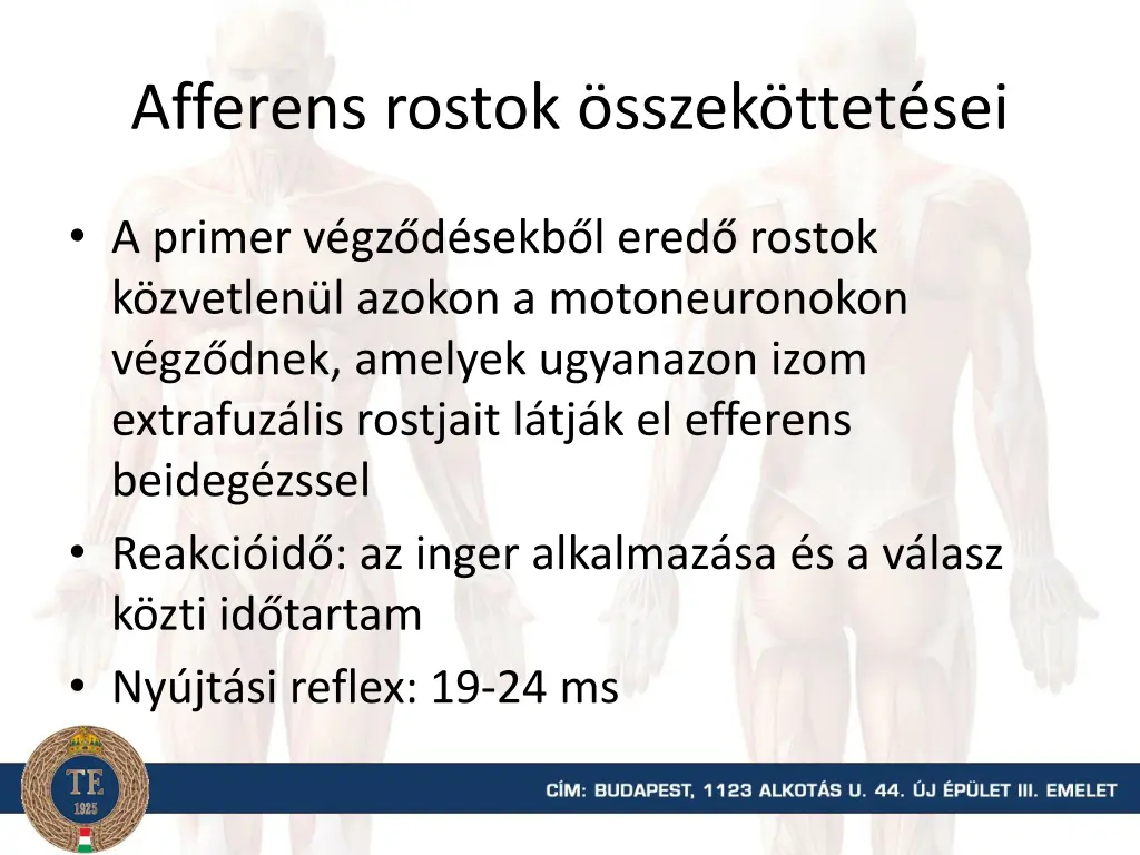 afferens rostok sszek ttet sei
