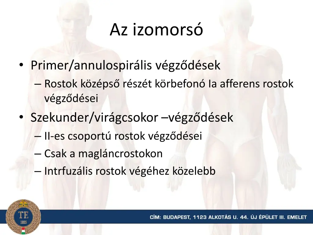 az izomors 1