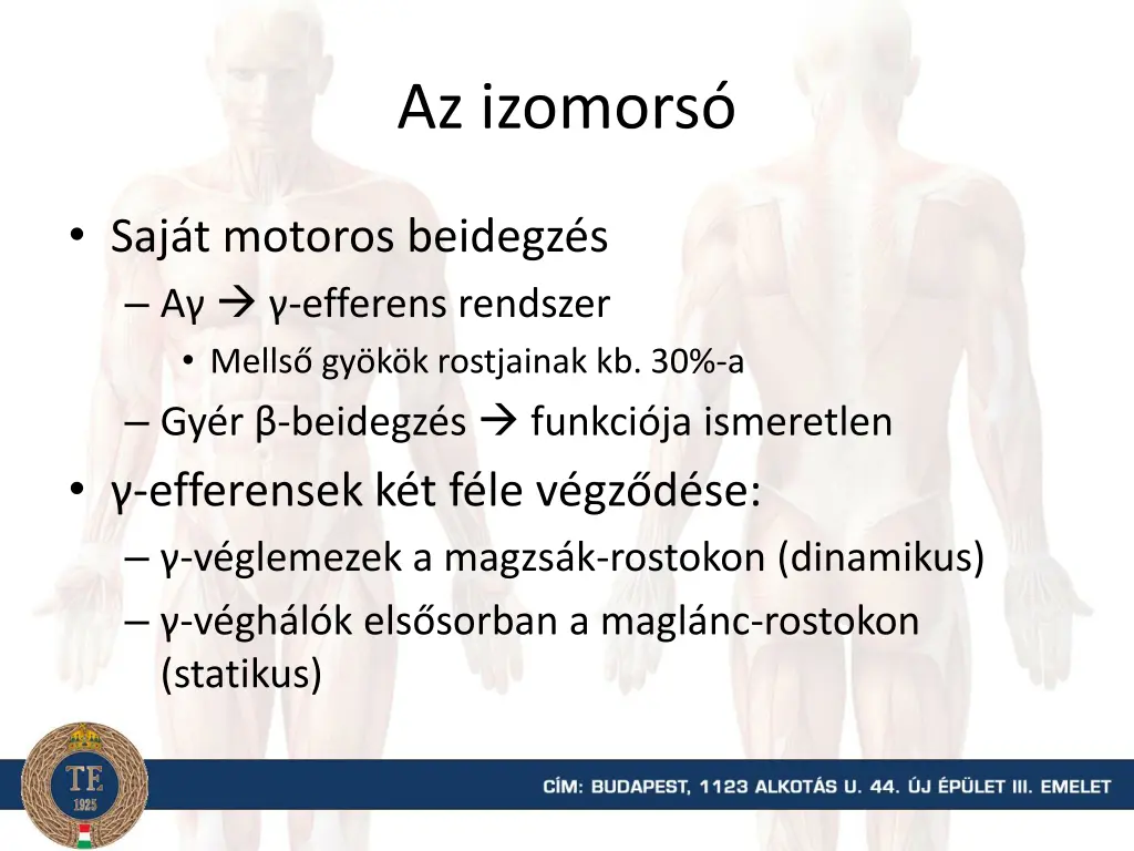 az izomors 2