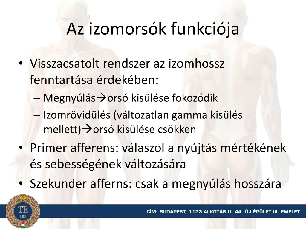 az izomors k funkci ja 1