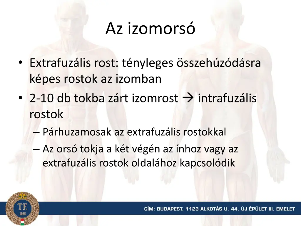 az izomors