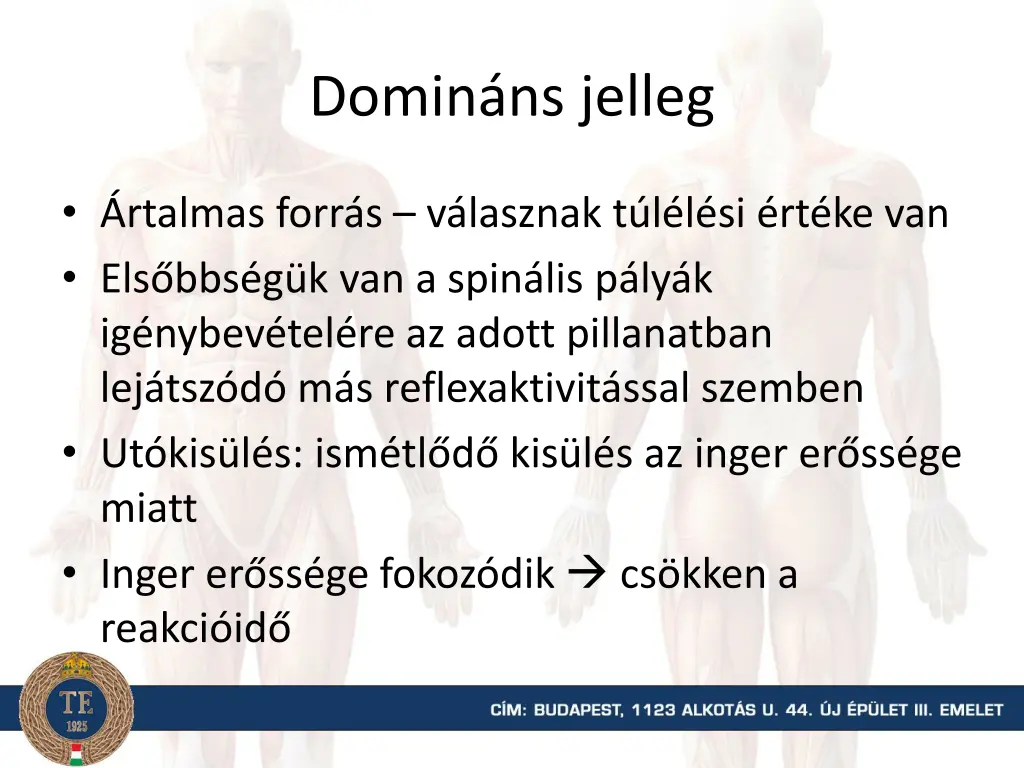 domin ns jelleg