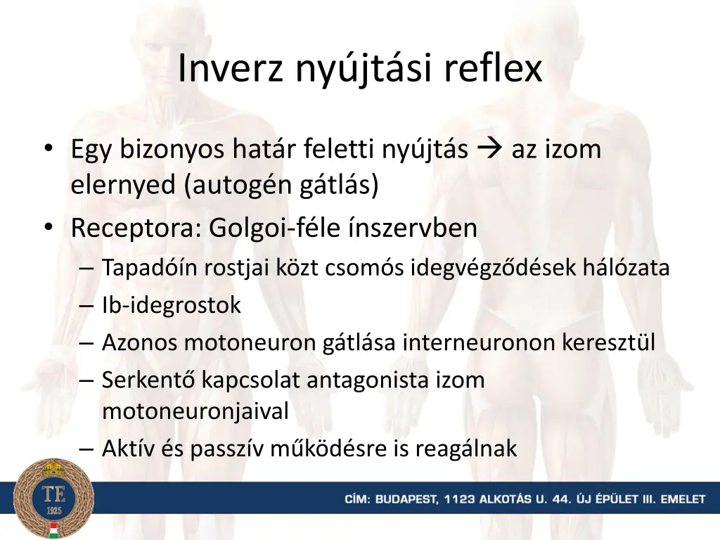 inverz ny jt si reflex