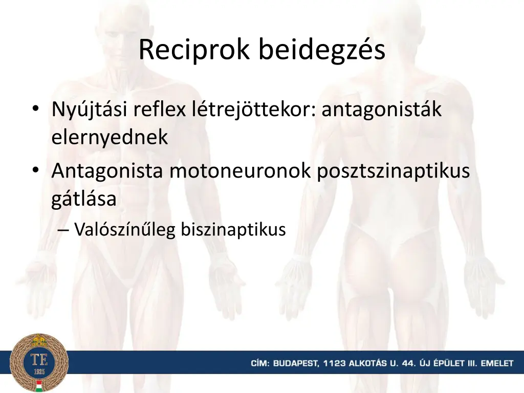 reciprok beidegz s