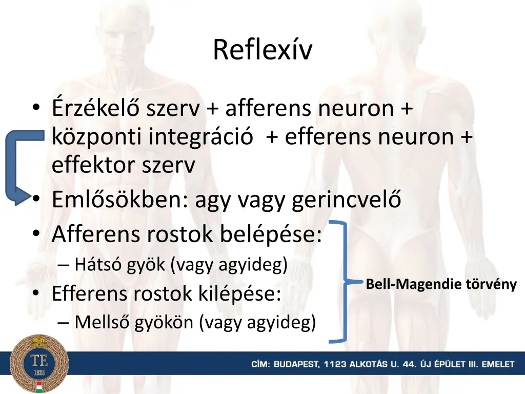 reflex v