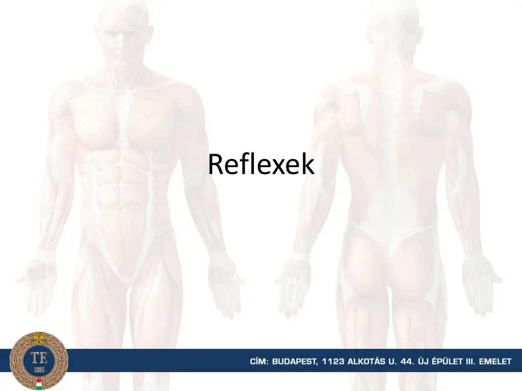reflexek