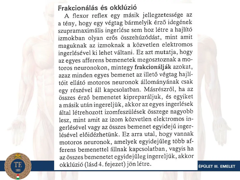slide24