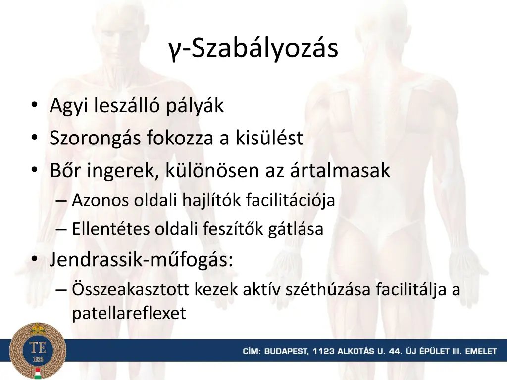 szab lyoz s