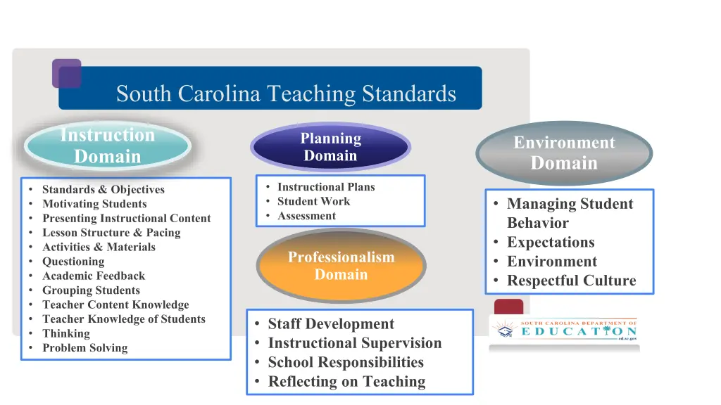 south carolina teaching standards