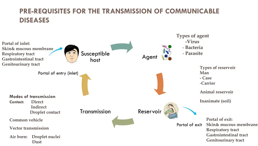 pre requisites for the transmission 2